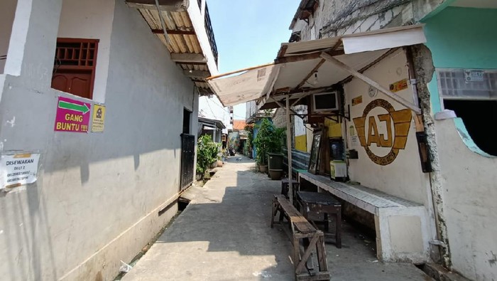 Monyet lepas serang bocah di Palmerah, Jakarta Barat