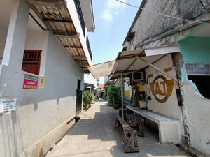 Monyet Lepas Tiba-tiba Serang Bocah hingga Guling-guling di Palmerah
