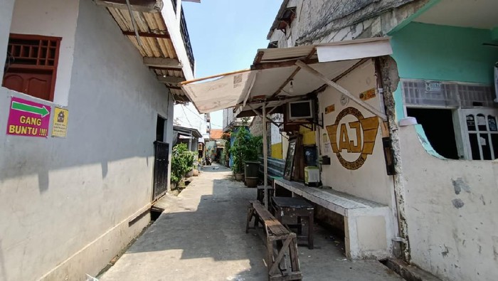 Monyet lepas serang bocah di Palmerah, Jakarta Barat