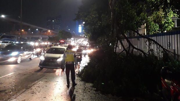 Pohon tumbang timpa mobil dan 4 motor di Jaksel, Jumat (23/4/2021).