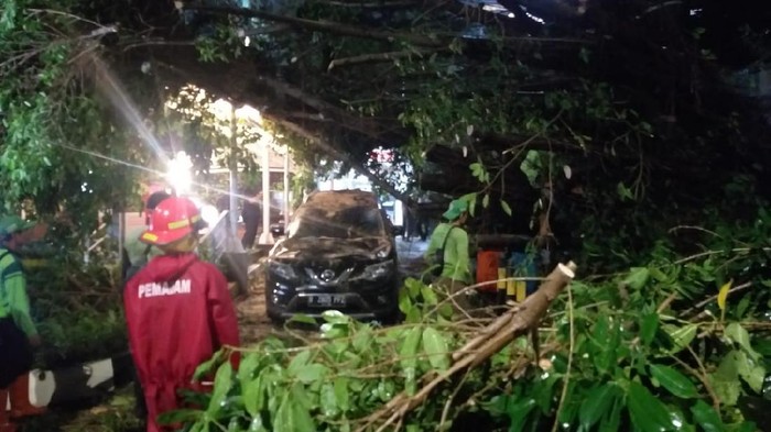 Pohon tumbang timpa mobil dan 4 motor di Jaksel, Jumat (23/4/2021).