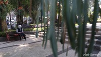 Rimbunnya pepohonan membuat taman ini nyaman, kita bisa duduk dan nongkrong di kursi yang ada di taman ini. Fasilitas itu membuat para pengunjung semakin nyaman.