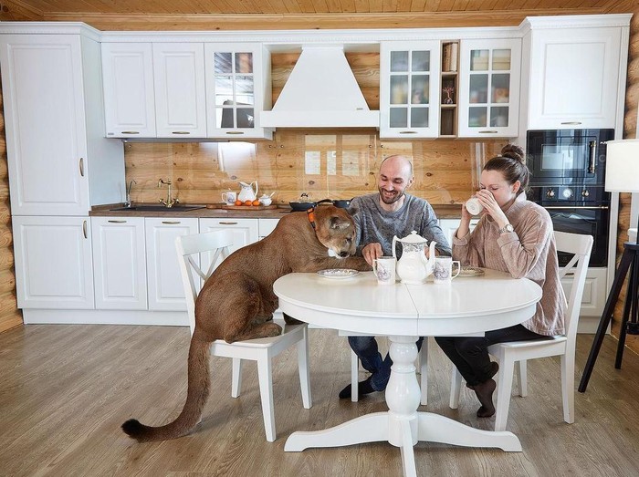 Aleksandr dan Maria Dmitriev