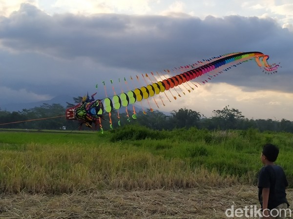 Persawahan yang digunakan menerbangkan layang-layang ini persis di pinggir Jalan Raya Magelang-Salatiga. Persawahan yang digunakan menerbangkan layang-layang ini persis di pinggir Jalan Raya Magelang-Salatiga.