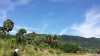 Pemandangan jalan menunju Pantai Parangtritis.