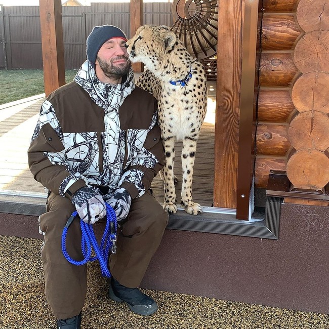 Inilah kebersamaannya dengan binatang peliharaan barunya itu. Singa gunung dan cheetah tersebut juga tampak hidup berdampingan. Foto: dok. Instagram/@l_am_puma