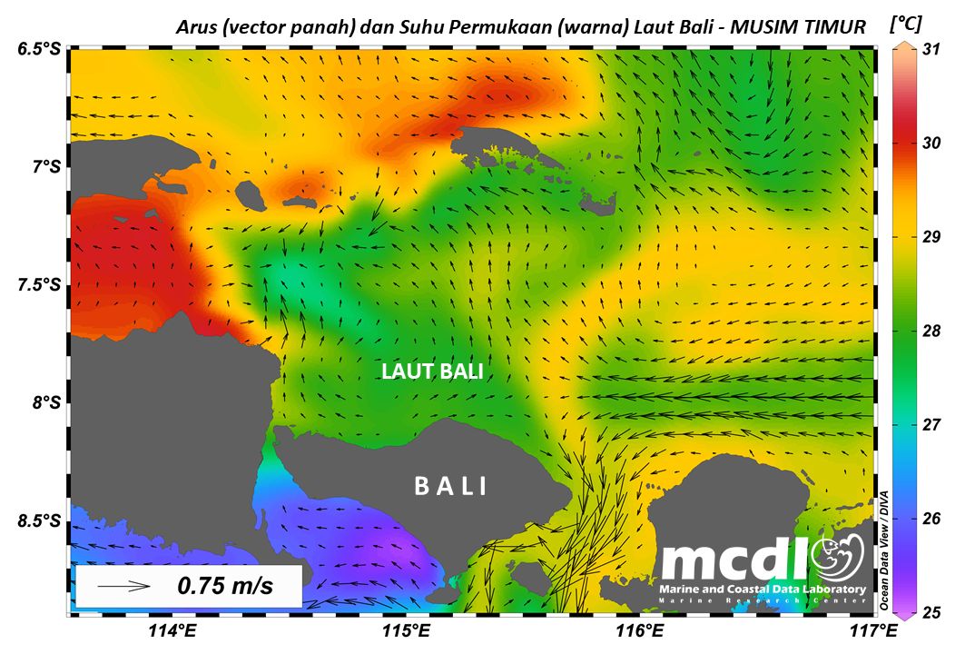 Karakteristik Laut Bali