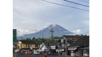 Locals activity