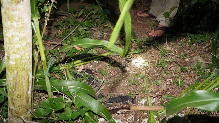 Pemuda Blitar Ditemukan Tewas di Ladang, Tak Ada Luka Bekas Kekerasan