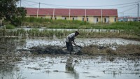 Harga rumah secara nasional terus menunjukkan peningkatan mencapai 5,24% secara tahunan (year-on-year/yoy) per Maret 2021 sejalan dengan peningkatan permintaan hunian di masa pandemi. Foto: dok. BTN