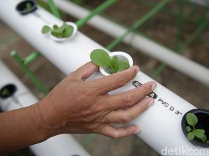 Pakar IPB Ungkap Manfaat Ilmu Biologi dalam Dunia Wirausaha