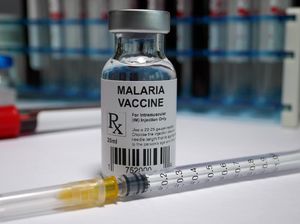 3 Fakta Vaksin Mosquirix untuk Malaria, Rekomendasi WHO yang Belum Masuk RI