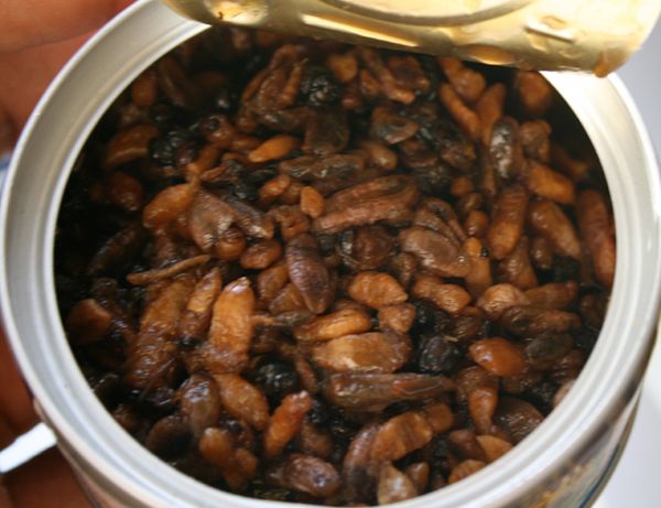 5 Makanan Aneh dari Bagian Tubuh Hewan yang Digemari Banyak Orang