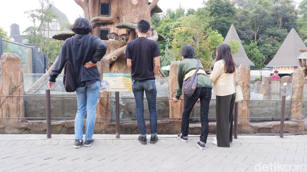 Asyiknya Ngabuburit di Lembang Park and Zoo