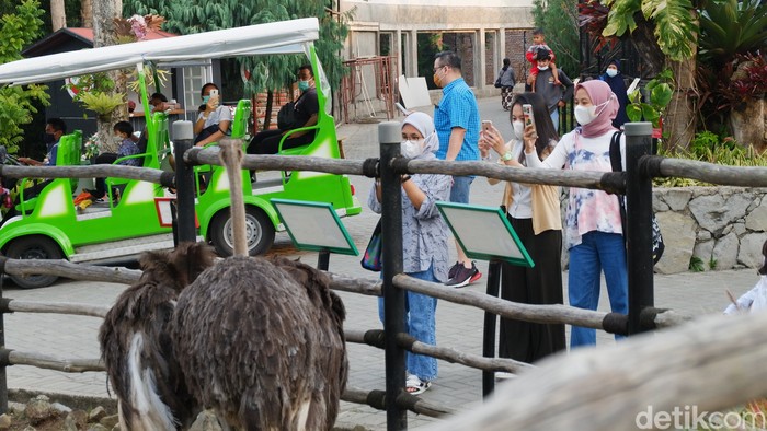 Asyiknya Ngabuburit di Lembang Park and Zoo
