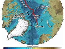 Kumpulan Gambar Palung Terdalam Dunia yang Misterius