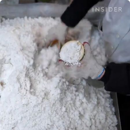 garam bambu berasal dari Korea Selatan dan jadi garam dengan harga termahal di dunia.