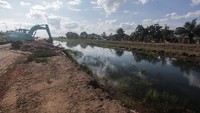Tahap pertama, luas food estate mencapai 30.160 Ha dari total 137 ribu Ha yang akan digarap.  