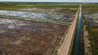 Kementerian PUPR akan melaksanakan rehabilitasi dan peningkatan jaringan irigasi rawa di wilayah food estate blok A, B,C dan D tersebut dengan luasan lahan 137.000 hektare serta yang baru diperbaiki lahan seluas 2.000 hektare di Kecamatan Dadahup.  