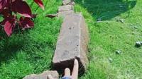 Batu Yoni, lingga patok, doorpel, kemuncak, batu kulit, batu bata kuno pagar kompleks, arca rusak ditemukan di sekitar rumah penduduk. 