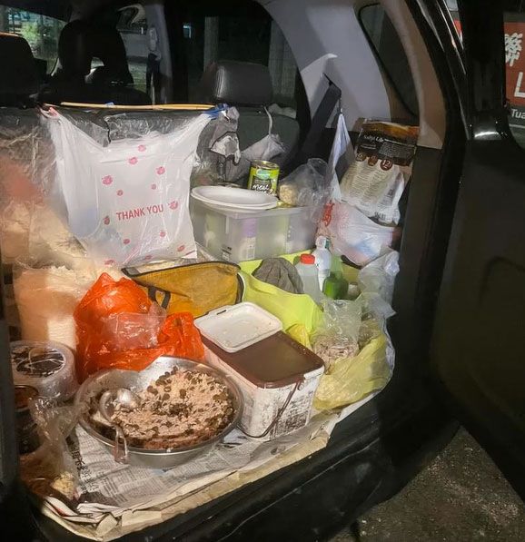 Mulia! Wanita Ini Habiskan Rp10 Juta Demi Beri Makan 60 Anjing Jalanan