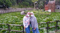 Lembang Park and Zoo atau Kebun Binatang Lembang buka setiap hari dengan harga tiket Rp 40 ribu untuk weekeday dan Rp 50 ribu untuk weekend. Kemudian untuk beberapa wahana seperti melihat kucing ras dan memberi makan hewan dikenakan biaya tambahan Rp 20 ribu. Gimana traveler? Tertarik ngabuburit di Kebun Binatang Lembang.