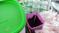 Rasa manis dari sirop, lembut legit ketan hitam, tekstur dawet yang kenyal, dan gurihnya es santan berpadu menjadi satu rasa yang nikmat di setiap tegukannya. Paling enak dinikmati di siang hari, sembari menikmati udara Malang yang sejuk. Foto: Luthfi Baihaqy/detikFood
