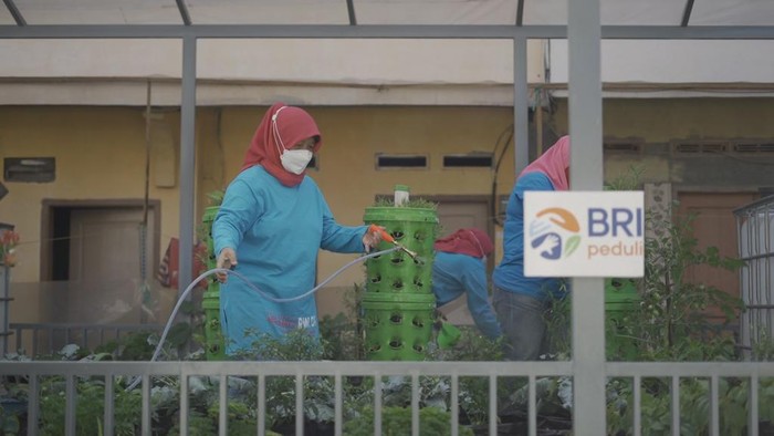 BRI Urban Farming BRI Urban Farming