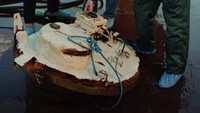 Petugas memeriksa bagian dari lambung kapal Kursk yang dipotong pada 25 Oktober 2000. Ada seruan untuk tidak mengganggu kuburan mereka yang meninggal, tetapi pemerintah mengatakan Kursk harus dievakuasi untuk menghindari potensi bahaya lingkungan dari reaktor nuklirnya. (Photo by Newsmakers).