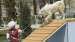 Gegara Anjing Ini, Turkmenistan Punya Hari Libur Nasional Baru