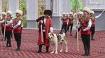 Gegara Anjing Ini, Turkmenistan Punya Hari Libur Nasional Baru
