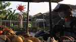 Hiii....Ada Tugu Virus Corona Ditusuk Belati di Tangerang