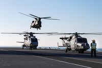 HMS Queen Elizabeth
