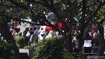 Iring-Iringan Jenazah Kabinda Papua ke TMP Kalibata