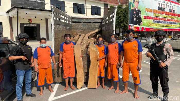 kayu jati