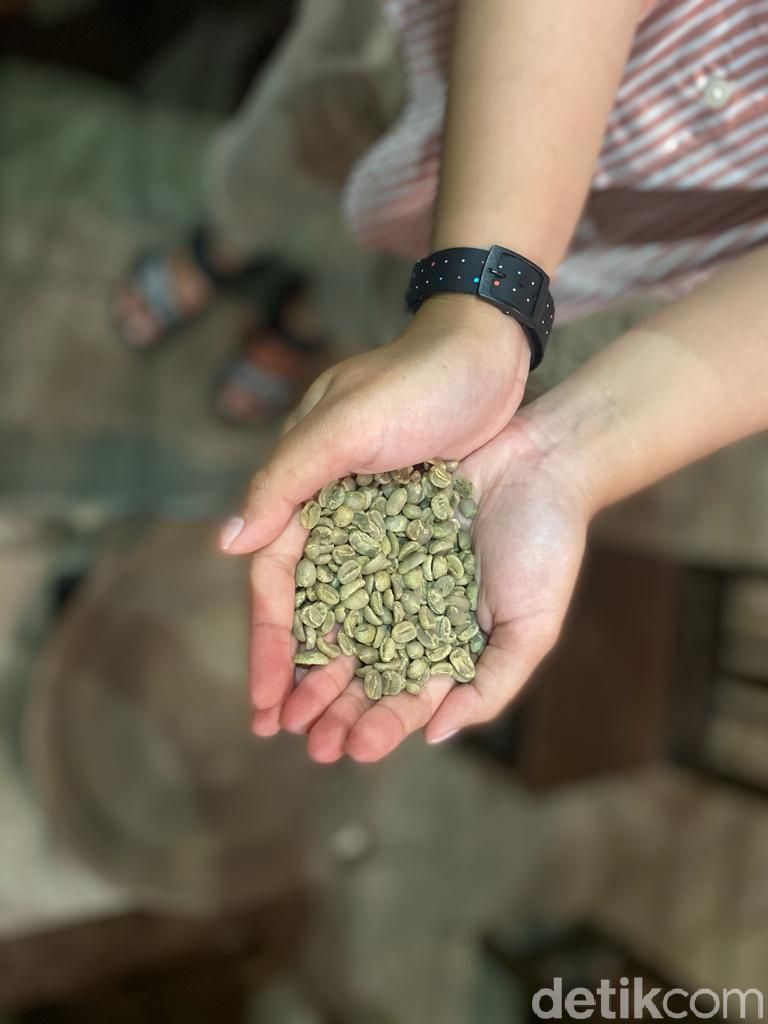 Kopai Osing, Kopi Arabica Istimewa dari Banyuwangi yang Diakui Dunia