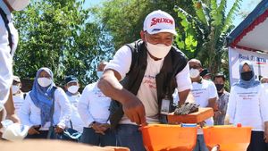 Renovasi Rumah untuk Korban Gempa Malang