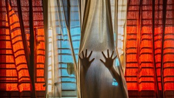 Youth Photographer of the Year 2021 diraih Pubarun Basu dari India Foto: dok. World Photography Organisation
