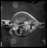 Sony World Photography Awards 2021