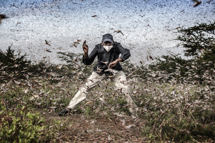 Sony World Photography Awards 2021 Sony World Photography Awards 2021