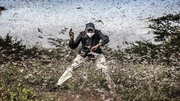 Jawara kategori Willlife & Nature diraih Luis Tato dari Kenya. Foto: dok. World Photography Organisation