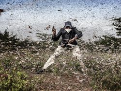 Keren! Ini Karya Jawara Sony World Photography Awards 2021