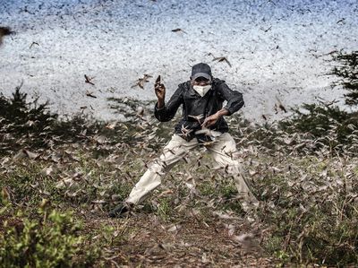 Keren! Ini Karya Jawara Sony World Photography Awards 2021