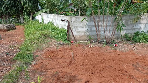 Suasana di lokasi heboh babi ngepet di Depok (Sachril-detikcom)
