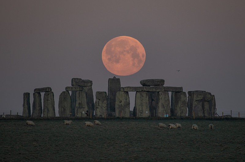 Fenomena Supermoon menghiasi langit berbagai negara dunia. Indahnya pemandangan bulan purnama besar itu diabadikan dalam jepretan kamera. Berikut Potretnya.