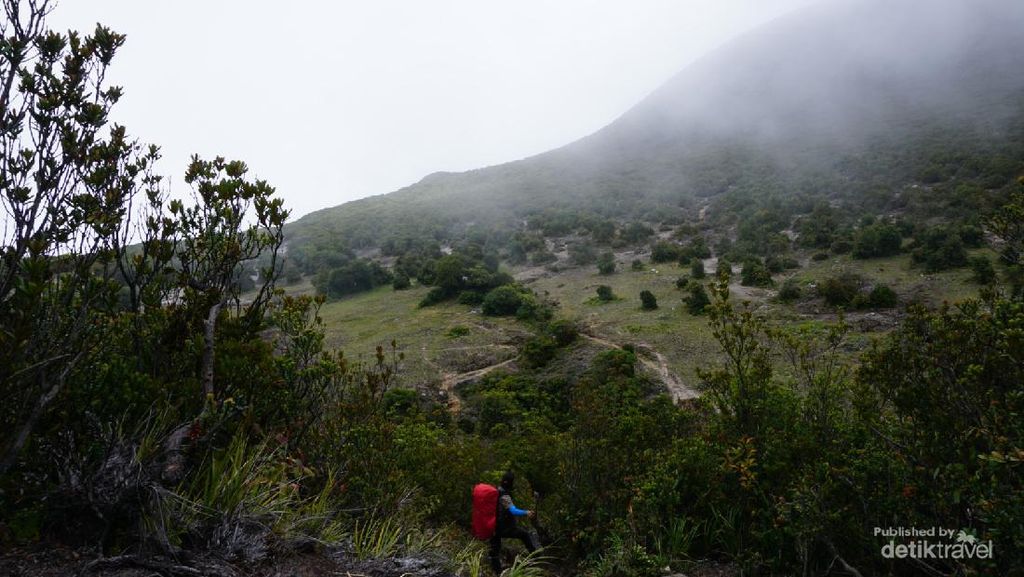 Status Gunung Dempo Sumsel Naik ke Level Waspada Berpotensi Erupsi