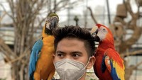 Berbeda dengan wajah super tegang dari Rizki saat memberi makan burung-burung cantik di pundaknya. Foto: Instagram Ridho & Rizki