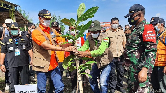 Kepala BNPB Letjen Doni Monardo menanam pohon di pesisir selatan Cilacap, Rabu (28/4/2021).