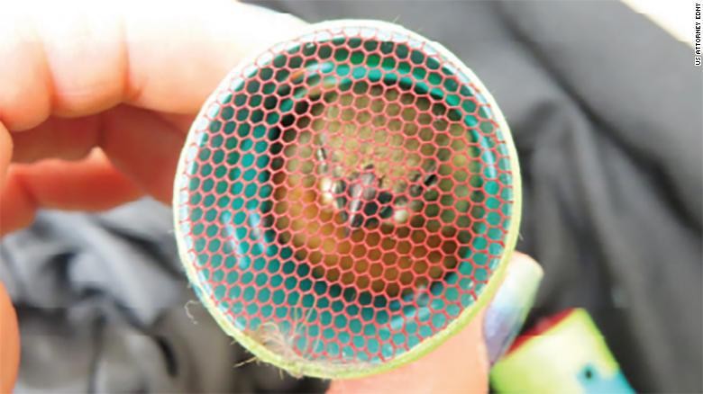 Pria Ditangkap di Bandara, Gegara.. Selundupkan 35 Ekor Burung Burung Finch dari Guyana dikenal bisa mengeluarkan suara indah