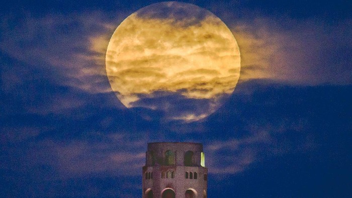 A pink supermoon rises in the night sky over Coit Tower in San Francisco on Monday, April 26, 2021. The full moon in April is known as the pink moon and is also a supermoon meaning it appears larger than an average full moon because it is the close